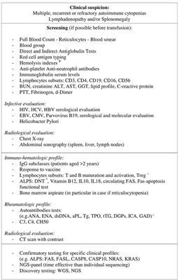 Evans Syndrome in Childhood: Long Term Follow-Up and the Evolution in Primary Immunodeficiency or Rheumatological Disease